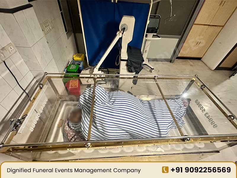 Mega Size Freezer Box Rental Services